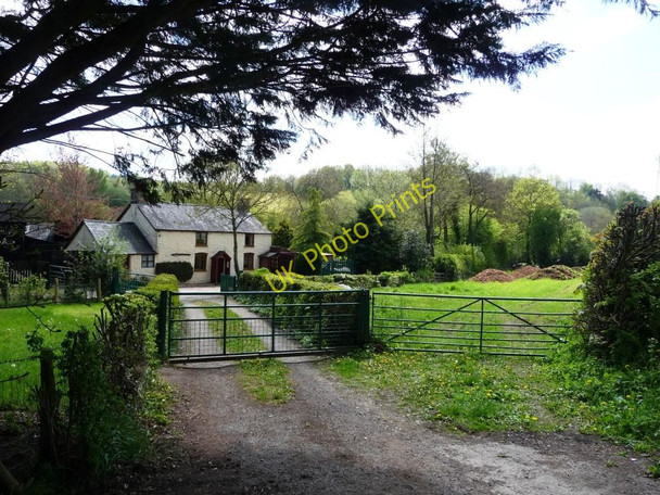 Photo 6"x4" Old house and drive Porth-y-waen c2010