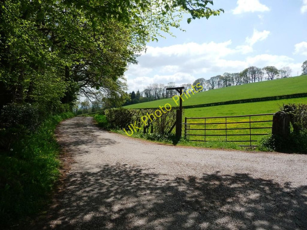 Photo 6"x4" Track to Treflach Farm Treflach c2010