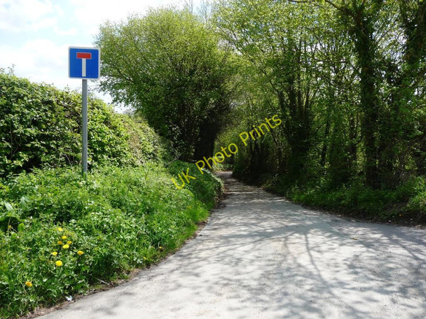 Photo 6"x4" The way to Little Nuttree Bank Gronwen\/SJ2726 c2010