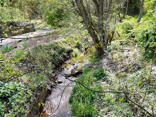 Photo 6"x4" Dinting Brook Glossop c2010