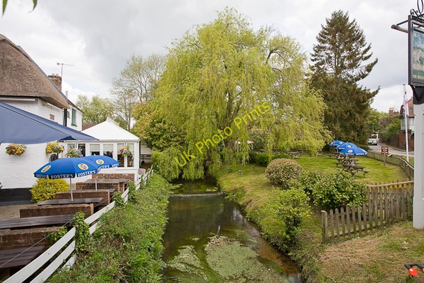 Photo 6"x4" Gardens of The Woolpack pub, Sopley Sopley c2010