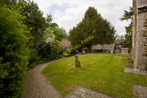 Photo 6"x4" Path to Church of St Michael and All Angels, Sopley Sopley c2010