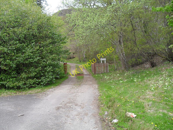 Photo 6"x4" Entrance to Cambusmore Lodge Little Torboll c2010