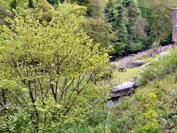 Photo 6"x4" River Derwent Matlock c2010