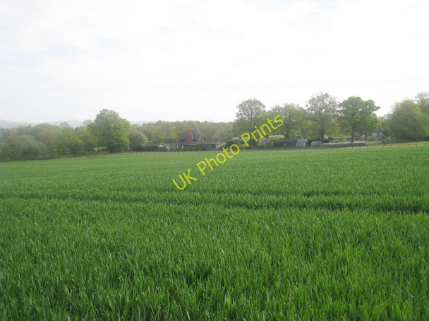 Photo 6"x4" Crop Field near Home Field Marsh Green\/TQ4444 c2010