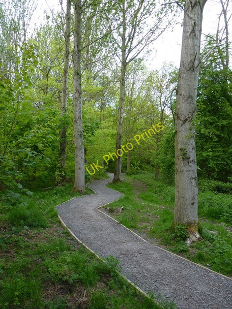 Photo 6"x4" New bridleway at the top of Lloyds' Coppice Blists Hill c2010