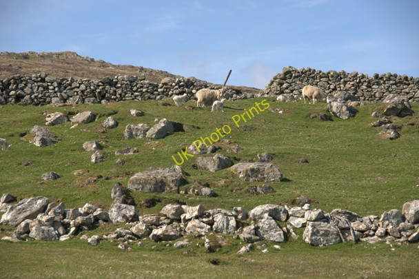 Photo 6"x4" Smirgarth, Framgord Mailand c2010