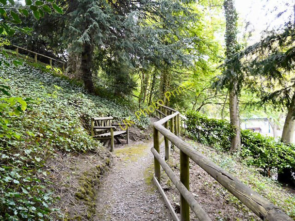 Photo 6"x4" Derwent  Gardens Footpaths Matlock c2010