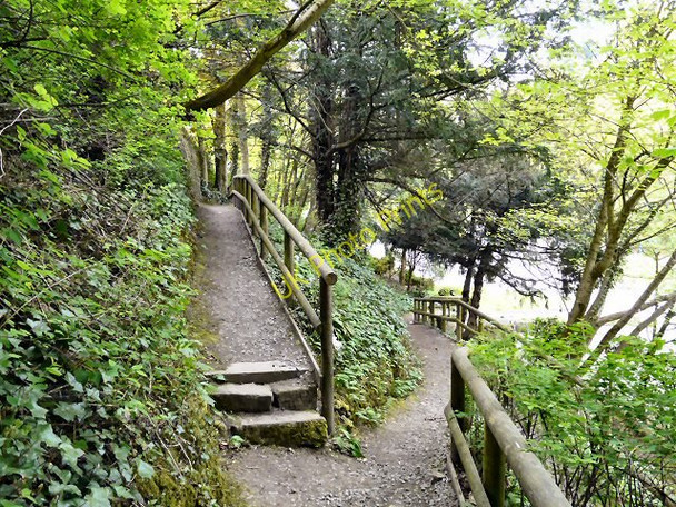 Photo 6"x4" Footpaths in Derwent Gardens Matlock c2010