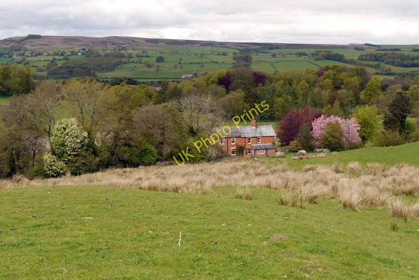 Photo 6"x4" Pasture above Burn House Ridley\/NY7963 c2010
