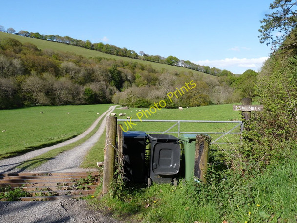 Photo 6"x4" The track which leads to New Mills Chelfham c2010