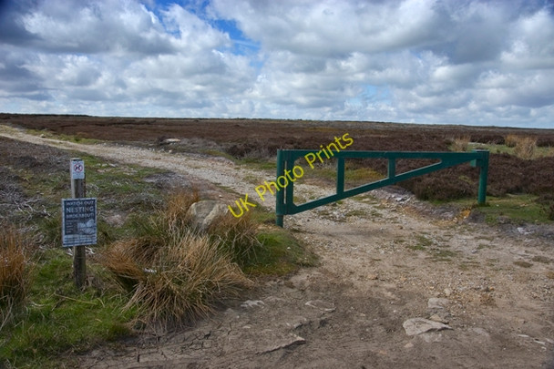 Photo 6"x4" Start of track to Egton High Moor Key Green\/NZ8004 c2010