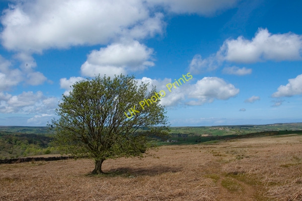 Photo 6"x4" Track across Murk Mire Moor Key Green\/NZ8004 c2010