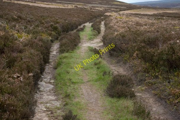 Photo 6"x4" Moorland Track along Baysdale Westerdale\/NZ6605 c2010