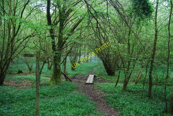 Photo 6"x4" Footpath junction signpost, Spring Wood Monk's Gate c2010