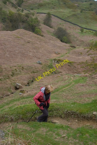 Photo 6"x4" Climbing up from Wood Head in Great Fryup Dale Street\/NZ7304 c2010
