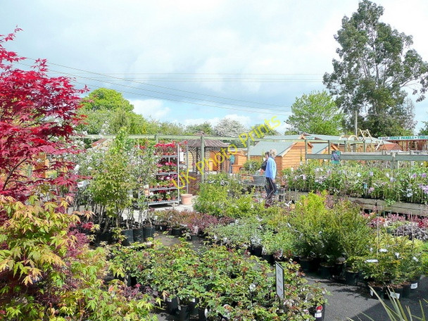 Photo 6"x4" Plantarea, Norton Garden Centre Down Hatherley c2010