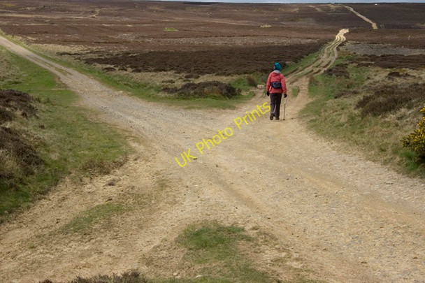 Photo 6"x4" Bridleway crossroads on Glaisdale Moor Street\/NZ7304 c2010