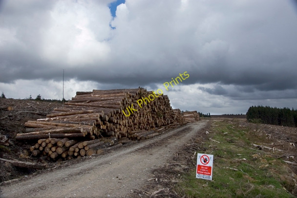 Photo 6"x4" Forestry operations in Wheeldale Upper Heads c2010