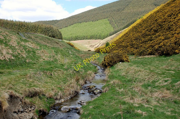 Photo 6"x4" Walker Burn Innerleithen c2010