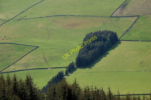 Photo 6"x4" Field boundaries on a Borders hillside Innerleithen c2010