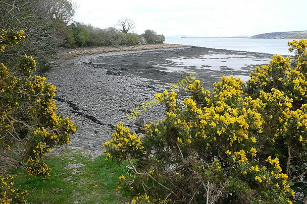 Photo 6"x4" Shoreline at Shannakea Foynes c2010
