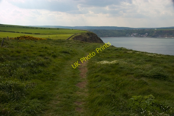 Photo 6"x4" Clifftop path, Kettleness Goldsborough\/NZ8314 c2010