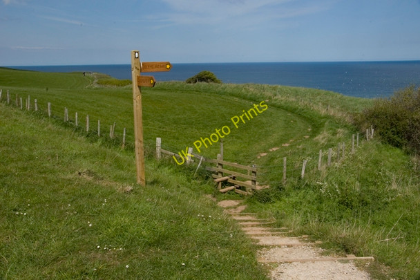 Photo 6"x4" The Cleveland Way near Kettleness Goldsborough\/NZ8314 c2010