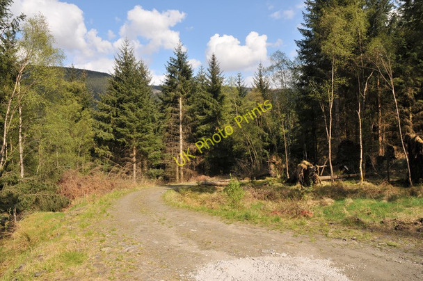 Photo 6"x4" Forest track in Strathyre Forest Strathyre\/NN5617 c2010