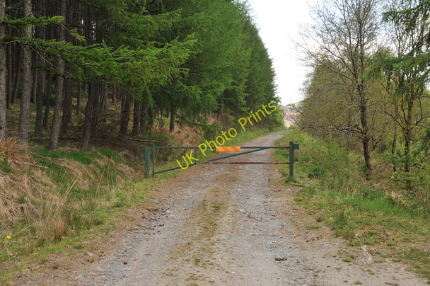 Photo 6"x4" Forestry road into the forest near Bochastle Kilmahog c2010