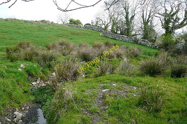 Photo 6"x4" Pasture at Lisheen Derragh c2010