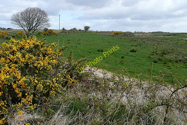 Photo 6"x4" Pasture at Cloonmore Derragh c2010