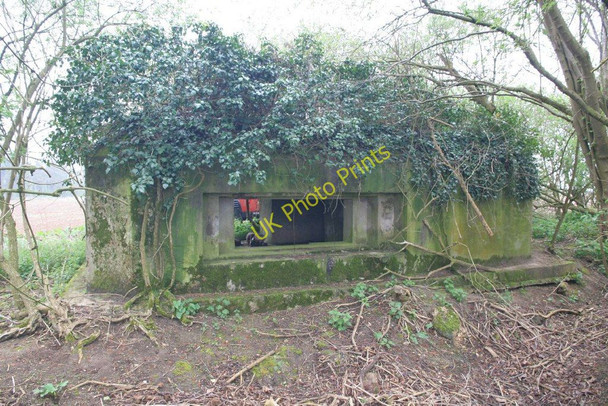 Photo 6"x4" Pillbox in the woods Netherton\/SU4199 c2010