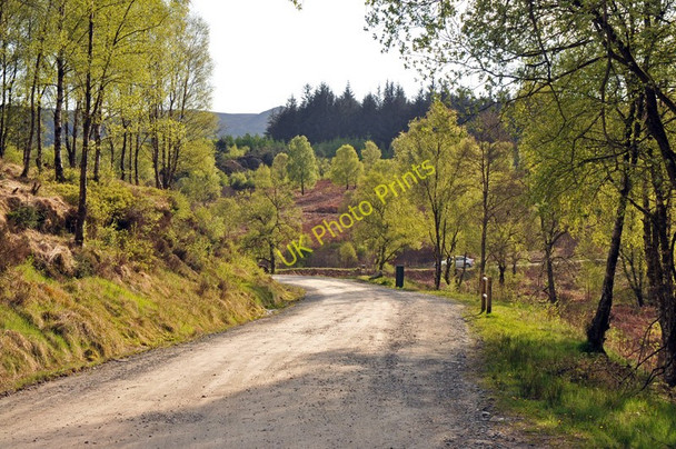 Photo 6"x4" Forestry road near the A821 Duke's Pass Brig o' Turk c2010