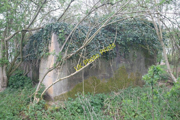 Photo 6"x4" An Ivy top Netherton\/SU4199 c2010