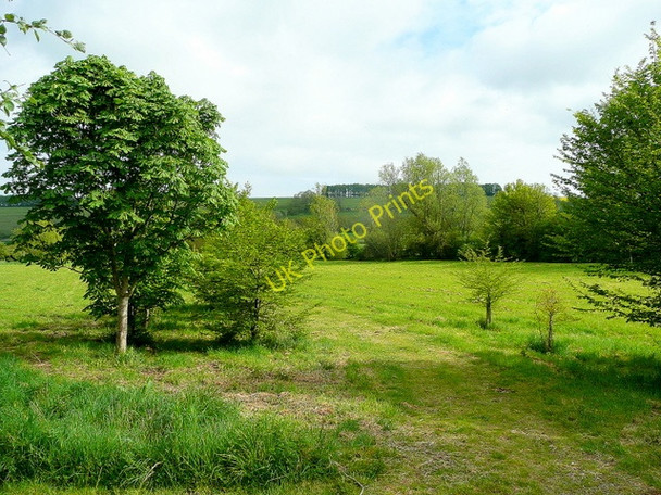 Photo 6"x4" Ebble valley floor Broad Chalke c2010