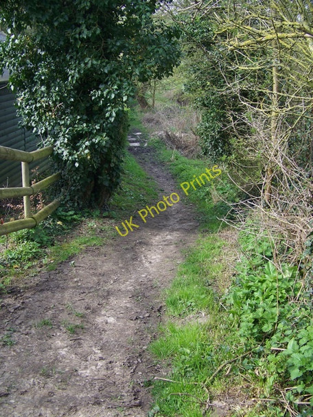 Photo 6"x4" Footpath, Little Cheverell Great Cheverell c2010