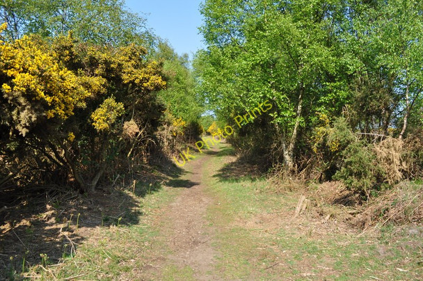 Photo 6"x4" Southwold Railway Cutting Southwold c2010