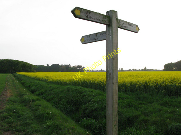 Photo 6"x4" Footpaths at Ince Blundell Carr Houses\/SD3203 c2010