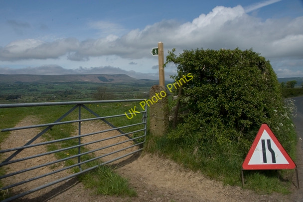 Photo 6"x4" Footpath start near Brook farm Chipping\/SD6243 c2010