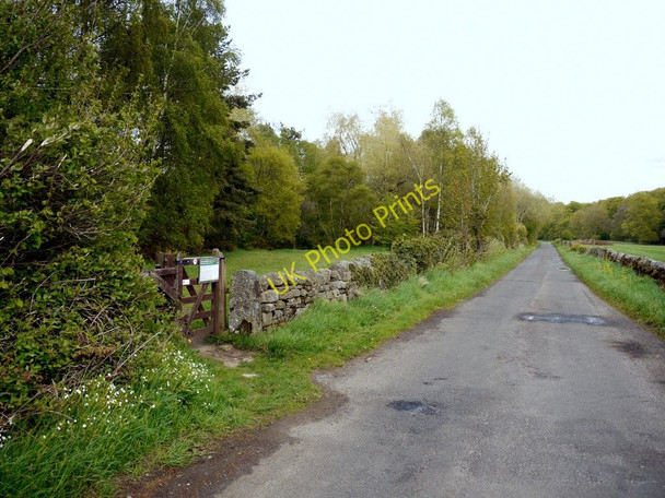 Photo 6"x4" Entrance to Beltingham Nature Reserve Bardon Mill c2010