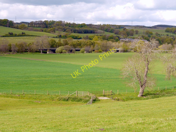 Photo 6"x4" Fields north-east of Beltingham Bardon Mill c2010
