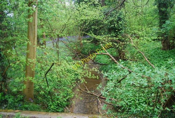 Photo 6"x4" Tributary of the River Arun by the Downs Link Park Street\/TQ1131 c2010