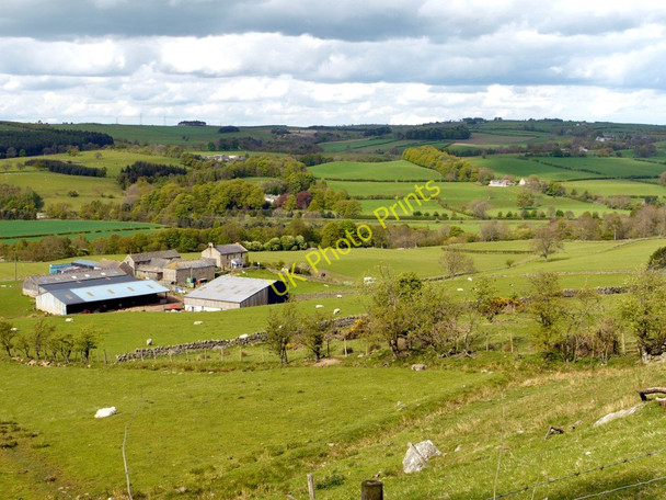 Photo 6"x4" Tedcastle Farm Ridley\/NY7963 c2010