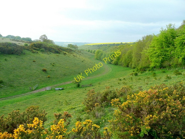 Photo 6"x4" Middleton Down Nature Reserve Martin Drove End c2010