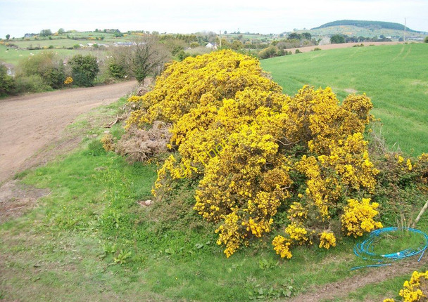 Photo 6"x4" Farmland north-east of Maghera Bridge Maghera\/J3734 c2010