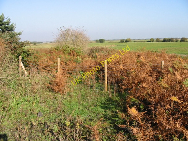 Photo 6"x4" View across farmland from Fowlmead Country Park Deal c2007