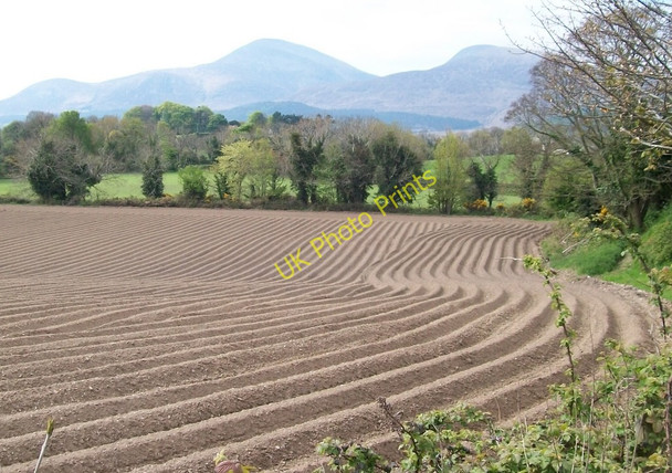 Photo 6"x4" View SSW towards Carrigs River and the Mournes from Ballyginny Maghera\/J3734 c2010