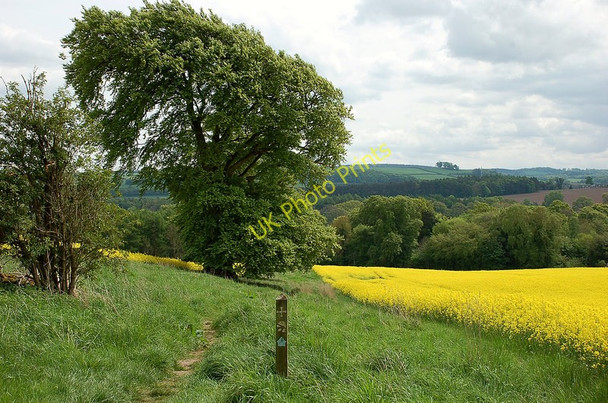 Photo 6"x4" On St Cuthbert's Way near Monteviot House Nisbet\/NT6725 c2010