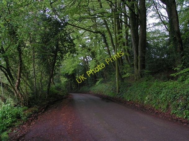Photo 6"x4" Lane at Greenham Barton Greenham\/ST0720 c2010